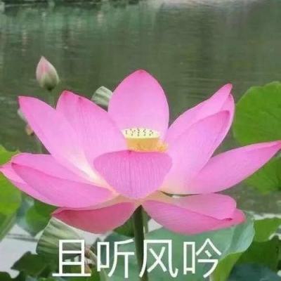 孙金龙 黄润秋：培育发展绿色生产力 全面推进美丽中国建设